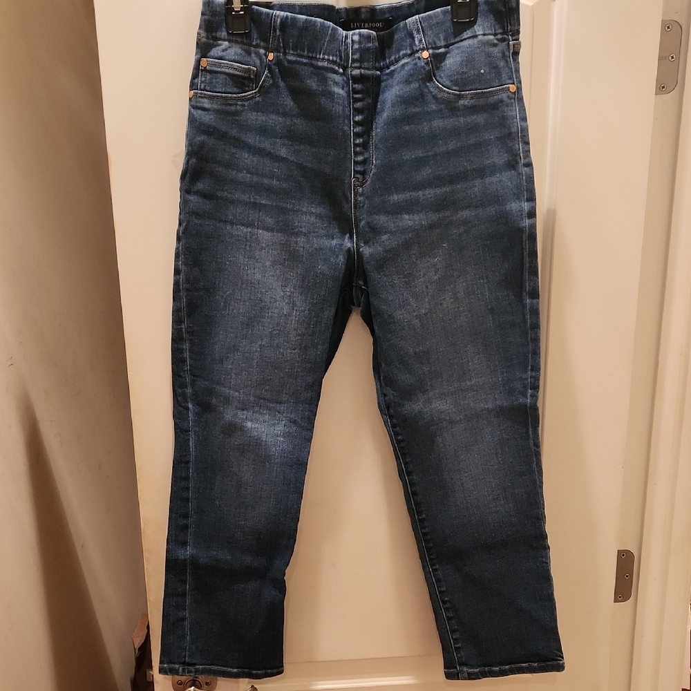 Liverpool Womens Size 14  Indigo Straight Jeans